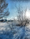 A winter clear day, a rural landscape with a rustic garden cover