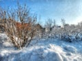 A winter clear day, a rural landscape with a rustic garden cover