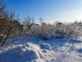 A winter clear day, a rural landscape with a rustic garden covered with snow. frozen branches of trees. in the background are seen Royalty Free Stock Photo