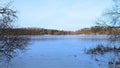 In winter, in clear and frosty weather, smooth and even ice forms on the lake. Near the shore the reeds are frozen into the ice. S Royalty Free Stock Photo