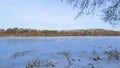 In winter, in clear and frosty weather, smooth and even ice forms on the lake. The shoreline reeds are frozen into the ice. Snow l Royalty Free Stock Photo