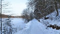 In winter, in clear and frosty weather, smooth ice forms on the lake. Reeds are frozen into the ice. Snow lies on the shore, on th Royalty Free Stock Photo