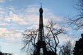 Winter view over the Eiffel Tower silhouette by day, framed with dead tree branches Royalty Free Stock Photo