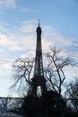 Winter view over the Eiffel Tower silhouette by day, framed with dead tree branches Royalty Free Stock Photo