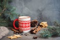 Winter coffee and cookies Royalty Free Stock Photo