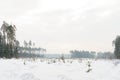 Winter cold landscape snow field with forest and small trees.