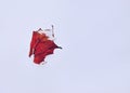 Winter, cold. Red maple leaf on snow in early winter Royalty Free Stock Photo