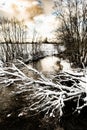 The winter cold river has not yet frozen, over the river a snow-covered tree hangs Royalty Free Stock Photo