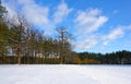 Winter snowy field, distant forest and clear blue sky Royalty Free Stock Photo