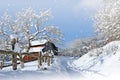 winter rural stunning landscape, picturesque morning view, beautiful sunrise in mountains, Carpathians, Huzul village Krasnik, Ukr