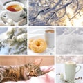 Winter collage with landscapes, coffee and sleeping cat