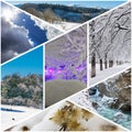 Winter collage of photos of a village house in Christmas lights, sleighing children, winter forest, dry flowers under snow, mounta