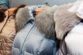 Winter collection of casual clothes jacket with fur collar, of different colors, dressed in mannequins