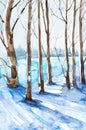 Winter colorful landscape of snowy forest. Hand drawn watercolor illustration