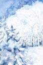 Winter colorful snow forest landscape with Christmas trees and birches. Hand drawn watercolor illustration Royalty Free Stock Photo