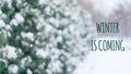 Winter is coming text with winter scene snowy alley in the park. Christmas winter background Royalty Free Stock Photo
