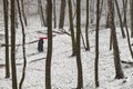 Winter is coming. Unidentifiable woman with red umbrella walks in the park under heavy snowfall Royalty Free Stock Photo