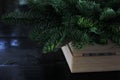The winter composition of fir branches in wooden box Royalty Free Stock Photo