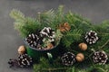 Winter composition from spruce branches, pinecone, nuts in vintage mug on dark background