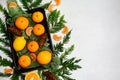 Winter composition. Tangerines, oranges, fir branches on a light background with copy space. Top view