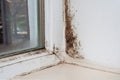 Winter condensation on window, black mold, wall freezing issue Royalty Free Stock Photo