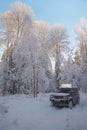 Winter coniferous forest after a snowfall, car SUV on a forest road, landscape Royalty Free Stock Photo