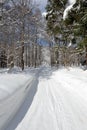 Winter Country Road Royalty Free Stock Photo