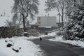 winter country road with cat Royalty Free Stock Photo