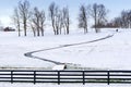 Winter country scene with trees and a path.