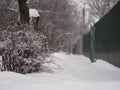 Winter countryside landscape