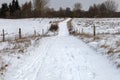 Winter countryside path with human footprints and sunlight. Royalty Free Stock Photo