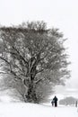 Winter couple on ski