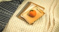 Winter cozy composition, books with tangerines on background of knitted warm sweaters, banner or mockup copy space