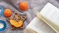 Winter cozy environment flat lay orange mandarins Royalty Free Stock Photo