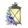 Winter cozy floral decor with blue jay bird and vintage lamp. Watercolor illustration. Blue jay with vintage lantern Royalty Free Stock Photo