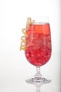 Winter Cranberry Cocktail Royalty Free Stock Photo