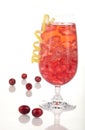 Winter Cranberry Cocktail Royalty Free Stock Photo