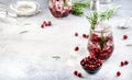 Winter Cranberry cocktail with vodka, ice, juice, rosemary and red berries. Festive long drink. Gray table background with Royalty Free Stock Photo