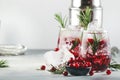 Winter Cranberry cocktail with vodka, ice, juice, rosemary and red berries. Festive long drink. Gray table background with