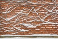 background with ivy brick wall covered by snow Royalty Free Stock Photo
