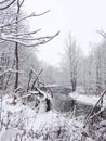 Winter creek covered in white snow background image Royalty Free Stock Photo