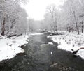 Winter creek covered in fresh snow landscape Royalty Free Stock Photo