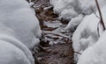 Winter creek with pieces of ice in the forest