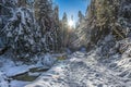 Winter creek with snow forest and sun star in winter sunny day Royalty Free Stock Photo