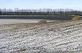 Winter crop field with tractor traces covered snow. Royalty Free Stock Photo