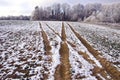 Winter crop field with tractor traces covered snow Royalty Free Stock Photo