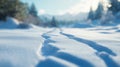 Winter Cross-country Trail Marked in Snow. Royalty Free Stock Photo