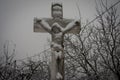 Winter Cross