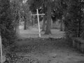 Cold Winter Cemetery Cross Royalty Free Stock Photo