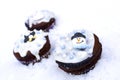 Winter cupcakes